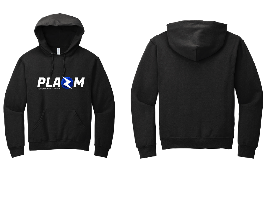 PLAZM Heavy Hoodie (Not Eligible for free Promo) (Copy)